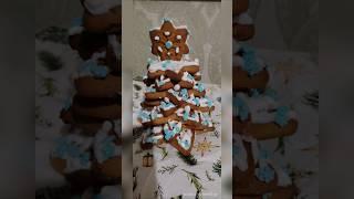 07/02/25 #shorts #фото #видео #жизнь #печенье #творчество #рождество