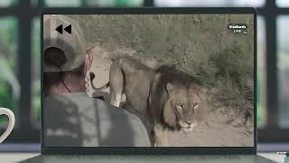 Become a WildEarth YouTube member.