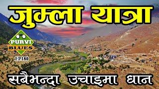 जुम्ला यात्रा || Trip to Jumla Nepal || मार्सी धानको रोपाईं || Jumla Chandannath & Sinja Valley