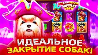 МАКСВИН В СОБАКАХ ПИРАТАХ! / ЗАНОС В THE DOG HOUSE MUTTLE CREW! / МЕЛСТРОЙ В ШОКЕ! / ЗАНОСЫ НЕДЕЛИ!