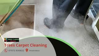 Wet and Dry Carpet Cleaning in Inverness | Trees Carpet Cleaning