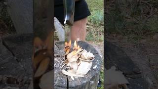 Survival Skills: Starting a Fire with Knife #bushcraft #outdoors #camping #lifehacks