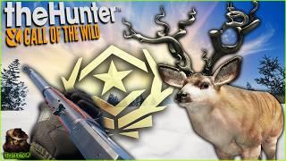 Hunting The Great One Mule Deer With Iron Sights 30-30! Call of the wild