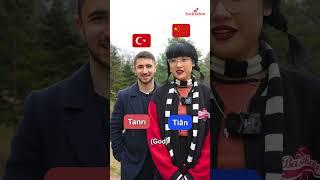  Chinese vs Turkish 