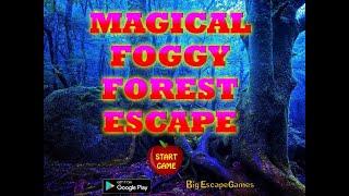 magical foggy forest escape video walkthrough