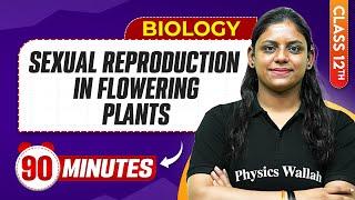 Sexual Reproduction in Flowering Plants in 90 Minutes || Biology | Mind Map Series for Class 12th