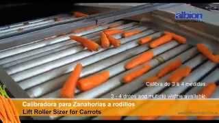 ALBION - Calibradora de Zanahorias a rodillos / Lift Roller Sizer of Carrots