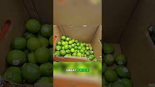 Aldi's Hidden Gems  Avocados, Limes, & Jalapenos on a BUDGET!