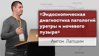 Эндоскопическая диагностика патологий уретры и мочевого пузыря