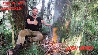 Can You REALLY Start a Fire in a WET RAINFOREST? Josh James Shows You How?