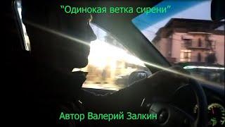 Одинокая ветка сирени, едем домой и поем!