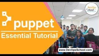 Puppet Fundamental Tutorials with Basic Demo by Raman in 2020