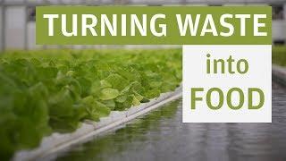How a California Caviar Farm has Turned its Waste into Food