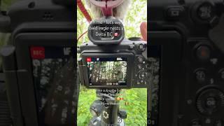 Nature therapy and bird watching walks - @Pacificnorthwestkate Delta BC  12 May 2025