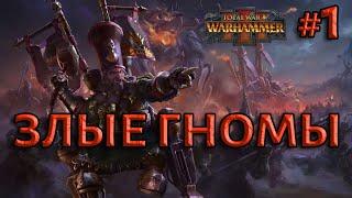 Гномы Хаоса: новое DLC к Total War