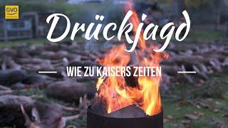 Drückjagd - wie zu Kaisers Zeiten - Sauen auf der Strecke!