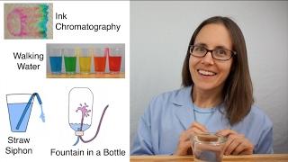 Science Mom's Guide to Water, Part 3 - Capillary Action