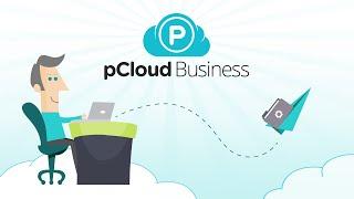 pCloud Business - the cloud storage solution for your business