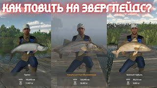 Fishing Planet | Гайд - Как ловить уникального снука, тарпона, горбыля, басса на Эверглейдс - США.