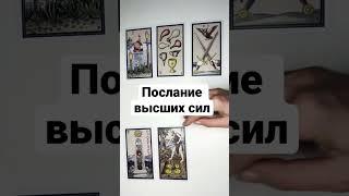 ПОСЛАНИЕ ВЫСШИХ СИЛ  #shorts что надо знать сейчас расклад таро #гаданиенакартахтаро