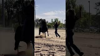 #nsca #omoksee #horse #rodeo #horseshow #western #westernriding #aqha #youtubeshorts #subscribe