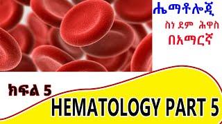 Formation of white blood cells # Leukopoiesis ክፍል  5