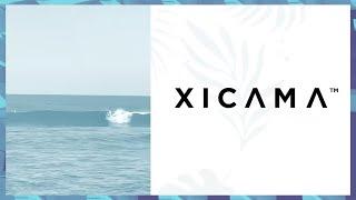 Xicama | Expert DOJO Demo Day Spring Cohort 2021