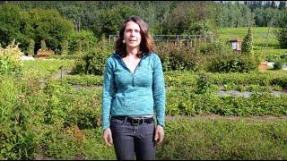 How to Grow Berries - In the Alaska Garden with Heidi Rader