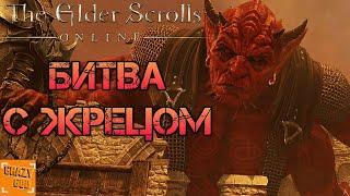 БИТВА С ЖРЕЦОМ ► Прохождение The Elder Scrolls Online - Blackwood (Чёрный лес) #9