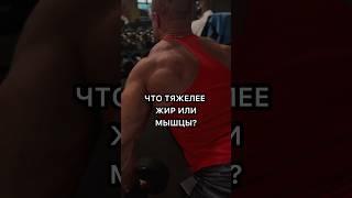 КАК РАЗЛИЧИТЬ ЖИР И МЫШЦЫ? Мотивация Дениса Волевого #спорт #фитнес #цой #мышцы #тело #качалка #сила