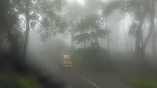 Mystic paths in Kerala.