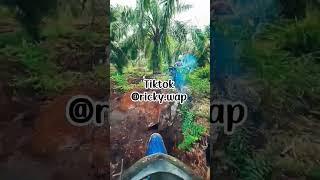 Vlog Ojek Sawit Di Lahan Tanah Gambut #ojeksawit #buruhlangsir #shorts