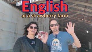 Learn English the EASY way / Comprehensible Input / LEARN ENGLISH NATURALLY While Exploring a Farm