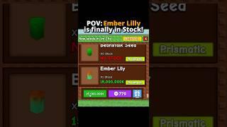 POV: the Ember Lily is finally on Stock in Grow a Garden #roblox #growagarden