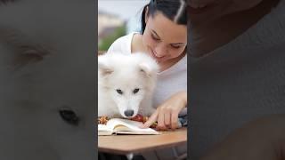 Top 10 Most Loyal Dog Breeds  | The Most Devoted Dogs You’ll Ever Meet!