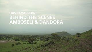 Behind the scenes: David Yarrow's 'Amboseli & Dandora' Special Project