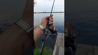 РЫБАЛКА С БЕРЕГА #срыбалки #fishing #рыбалкавесной #crazyfish #crazyfisharion #рыбалка #микроджиг