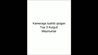 Bek.uz