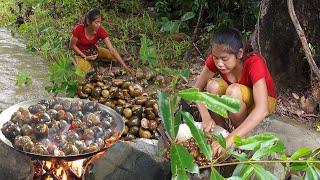 Adventure in forest: Catch a lot snails in the river for food-Snail curry spice delicious for dinner