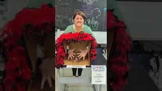 Deanna Murphy Mystery Box