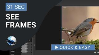 OpenShot Video Editor Tutorial: How to See Frames in Opensoht Video Editor