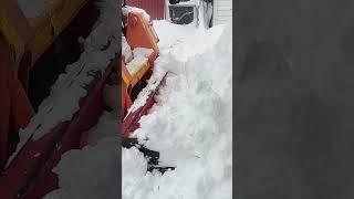 Let's Clean Up This Snow! Skidster #Buffalo #Snow #Machine