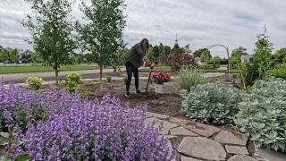 Planting Several Things That Are in Full Bloom & 11 BIG Honey Locust Trees!  // Garden Answer
