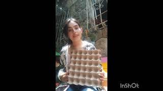 "Growing Green: Eco-Friendly Seed Starters from Everyday Items"