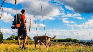 Hiking and camping the Viking Way with my dog