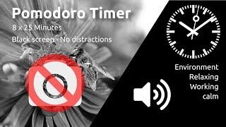 Pomodoro Timer 8 x 25min ~ Relax & Calm ~ No distractions