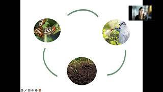 Climate Change, Pesticides, and Biodiversity