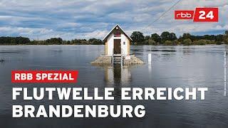 Über 6 Meter: Oder erreicht Flut-Höhepunkt – Alarmstufe 4