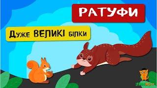  Дива природи. Явища навколо нас. Ратуфи — велетенські білки 