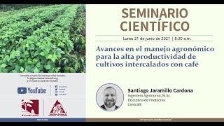 Manejo agronómico de cultivos intercalados con café